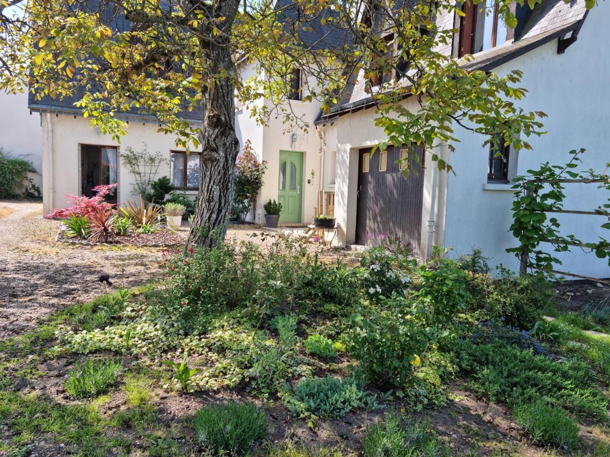 Gemme De Homestay